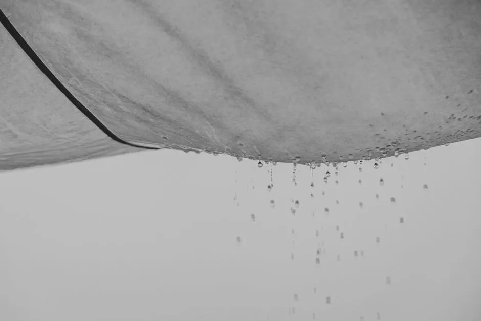 Water Heater Leak Repair in Cool Springs